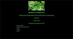 Desktop Screenshot of paddystaxi.com